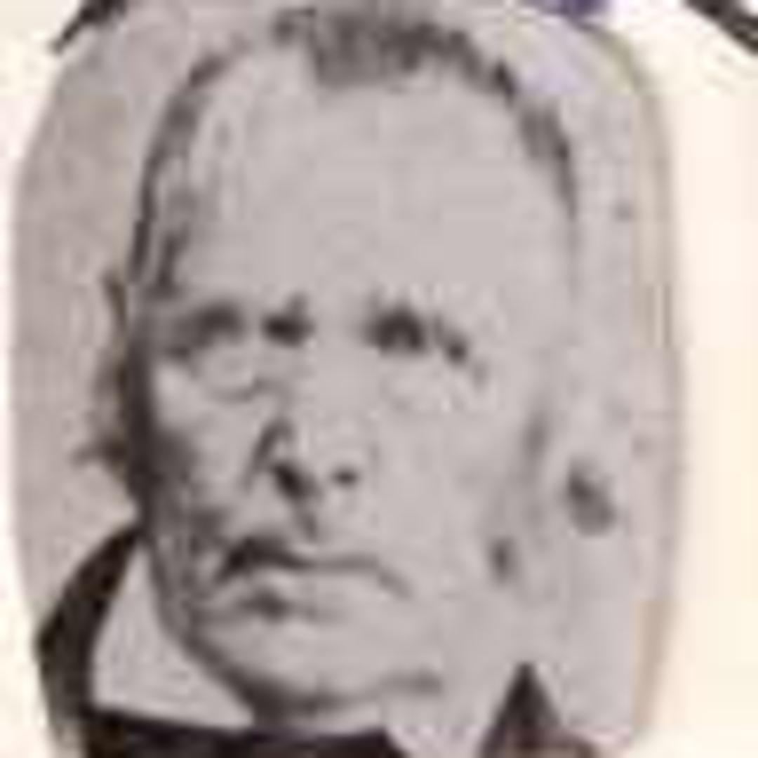 Dailey Carpenter (1799 - 1879) Profile